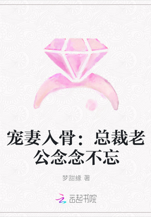 宠妻入骨：总裁老公念念不忘